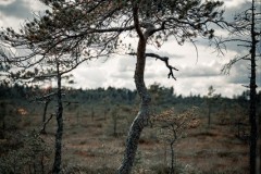 48-Eva-Poulsen